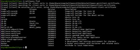 Image result for Ubuntu Multi Pass Tutorial