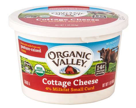 Cottage Cheese Discharge Replens at Margaret Abell blog
