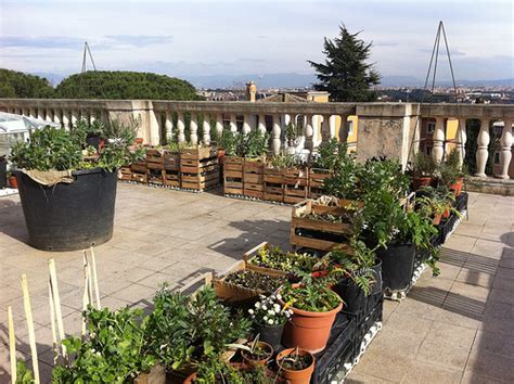Huertos Urbanos Las mil y una ventajas de cultivar un huerto en la ...