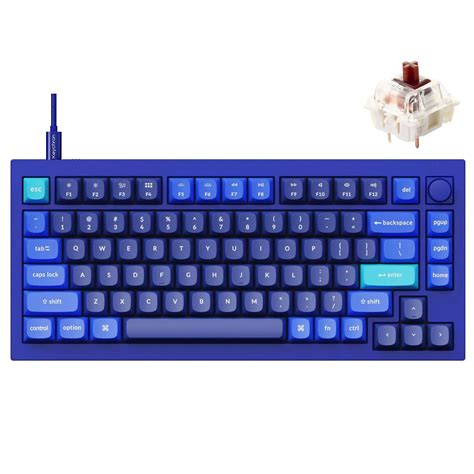 Amazon.in: Buy Keychron Q1 QMK/VIA Mechanical Wired Keyboard Knob ...