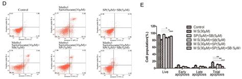 Methyl Sartortuoate Inhibits Colon Cancer Cell Growth by Inducing ...