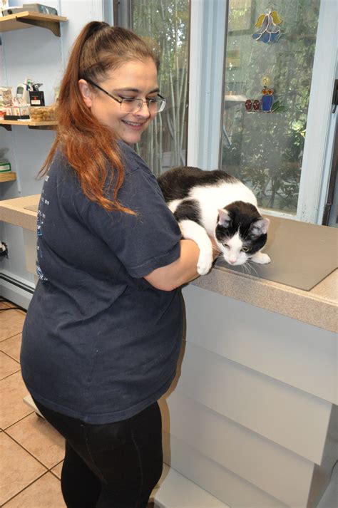 Milo! – Morris Hills Veterinary Clinic