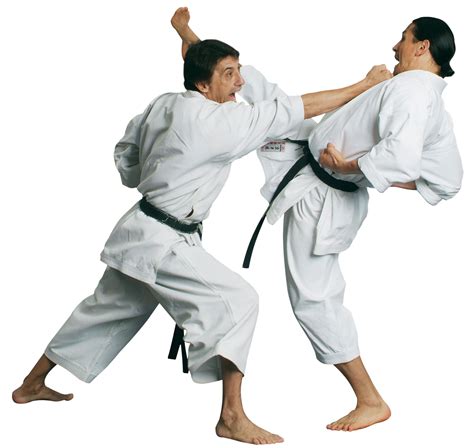 Image result for Karate Basic Practice