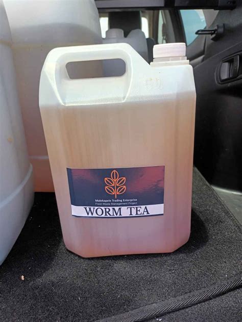 Image result for How Is Food Disposed