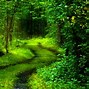 Image result for Nature Background Wallpaper 4K with Baby