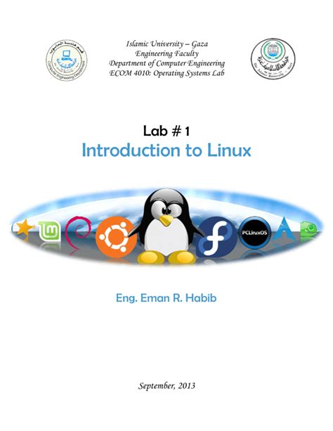 Coursera Updating Software in Linux Lab 的图像结果
