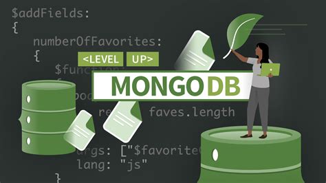 Image result for MongoDB Tutorial by Code Snippet