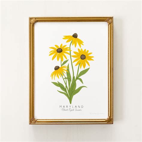 Maryland State Flower Print | CUSTOMIZABLE | Black-eyed Susan Print ...