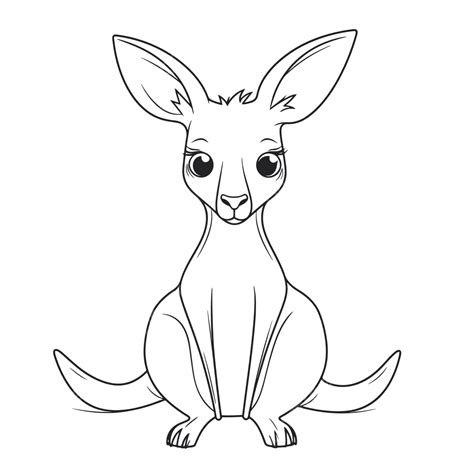 Coloring Kangaroo Clipart Outline