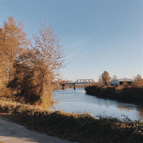 Snohomish Coffee Co. (@snohomishcoffeeco) • Instagram photos and videos