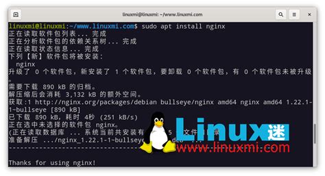 Image result for Nginx Python Windows 11