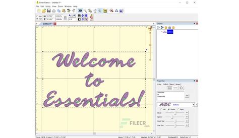 Image result for How to Use Embrilliance Essentials Lessons