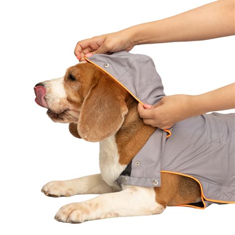 Neon Piping Grey Dog Raincoat – Pawpourri