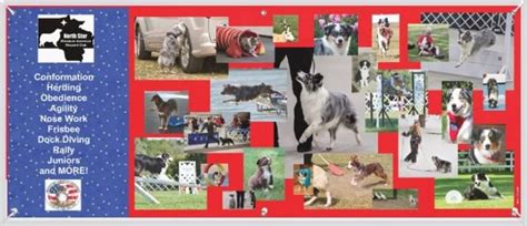 NSMASC AKC Farm Dog Tests, Stillwater, MN, Minneapolis, 27 September ...