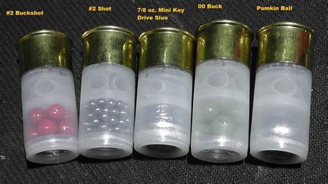 Image result for Mini 12Ga Shells
