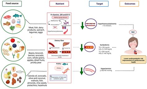 Nutritional Approaches to Modulate Cardiovascular Disease Risk in ...