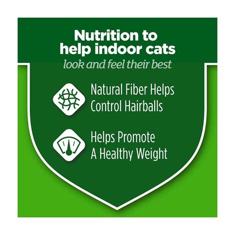Buy Purina Cat Chow Indoor Dry Cat Food, Hairball + Healthy Weight, 12 ...