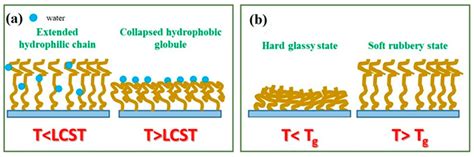 Mechanisms of Temperature-Responsive Polymer Brush Coatings ...