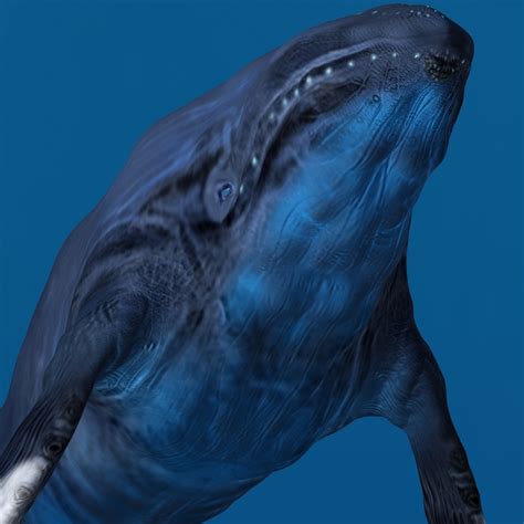 Image result for Whale 3D Tutorial SolidWorks