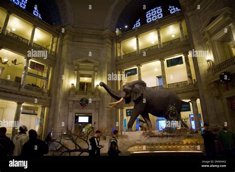 Smithsonian Museum 的图像结果