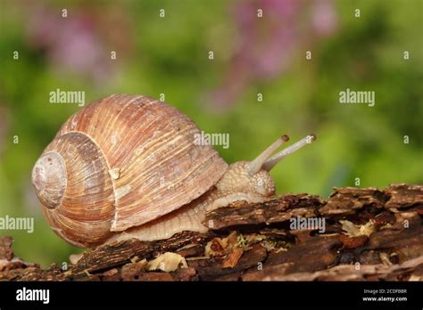 Image result for Sequence Range in Python