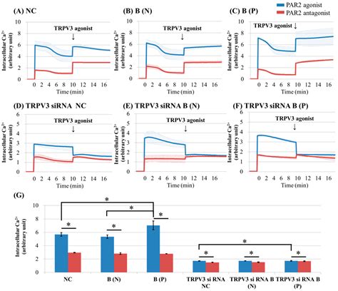 TRPV3 Channel in Keratinocytes in Scars with Post-Burn Pruritus