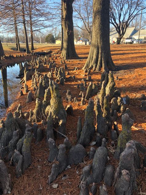 Peter Pan Park - Optimist - Emporia, Kansas | UDisc Disc Golf Course ...