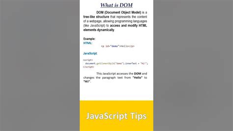 JavaScript DOM Explained 的图像结果