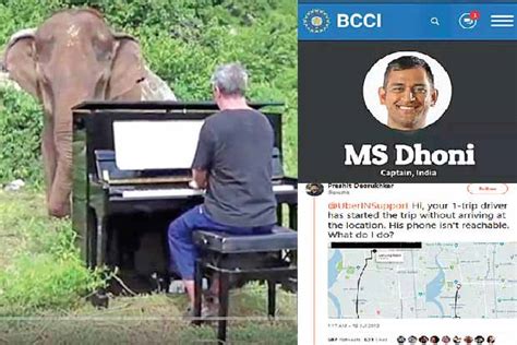 Trending in TN: Blind elephant sways to Bach’s tunes, Modi agrees to ...