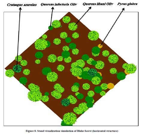 Forest Structure 的图像结果
