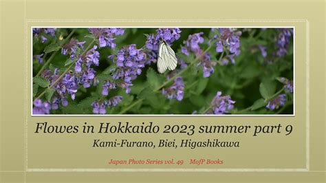 Flowers in Hokkaido 2023 summer part 9: kami-Furano, Biei, Higashikawa ...