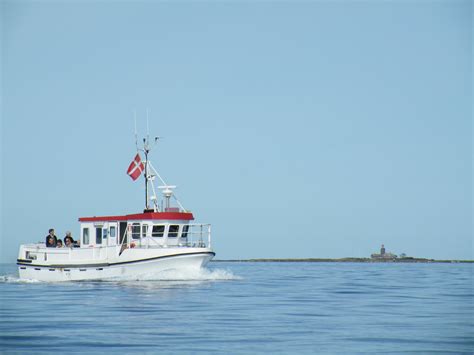 THE BEST Vestero Havn Equipment Hire (2026) - with Reviews