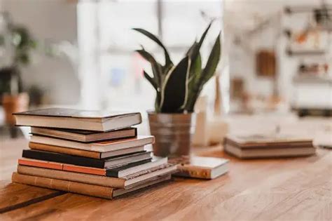 Image result for Book Report Introduction Examples