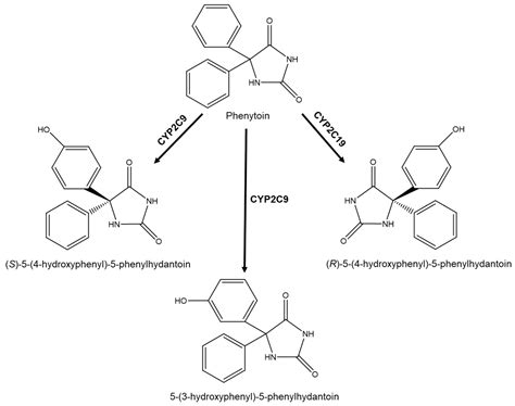Enantioselectivity in Drug Pharmacokinetics and Toxicity ...