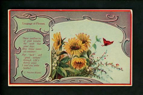 Sunflowers postcard Language of Flowers C. Preston Wynne Butterfly 1910 | eBay