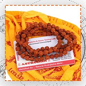 ASTRODIDI 5 Mukhi Rudraksha Mala With Gomukhi Bag for Mantra Jaap and ...