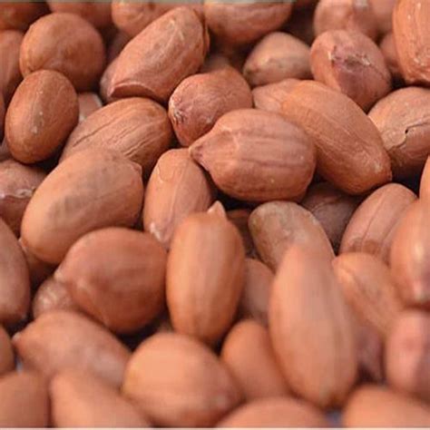 Bold Groundnut Kernels Manufacturer, Supplier from Namakkal