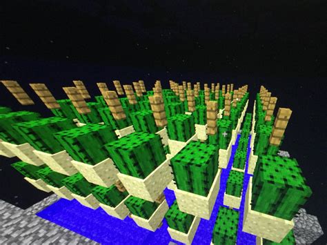 Image result for Cactus Farm Minecraft Java