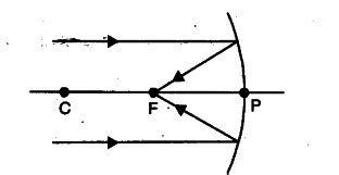 Name the type of mirror used in the following: - CBSE Class 10 Science ...