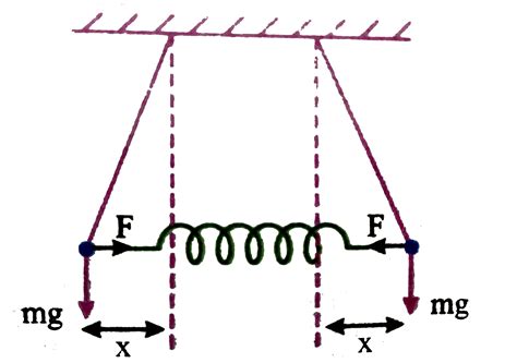 Two identical simple pendulums each of length 'l' are connected by a ...