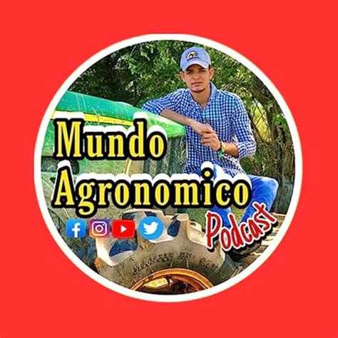 Manejo del Cultivo: La Fertilizacion y El Ataque de Plagas (Insectos ...