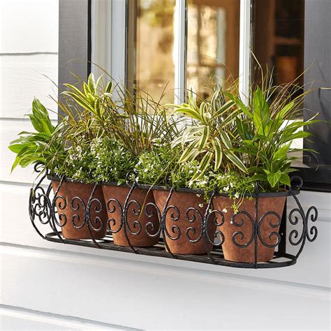 Window Box Moss Liners at Tawny Dunn blog