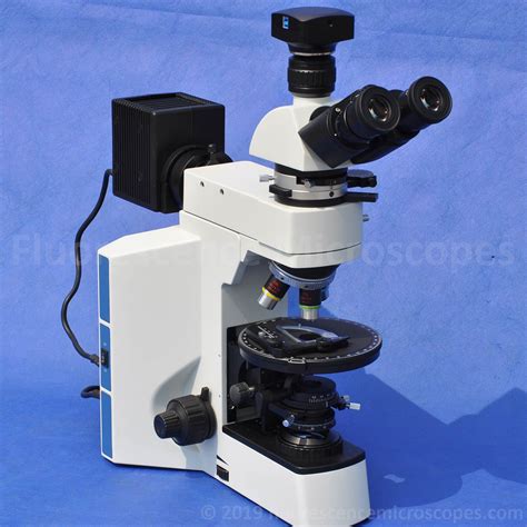 Polarizing Light Microscope 的图像结果