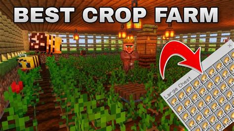 Image result for Minecraft 1.19 Farm Tutorials