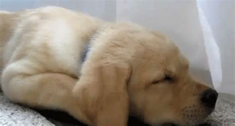 Adv: 5 Types of AC hoggers you need to avoid this summer - Times of India