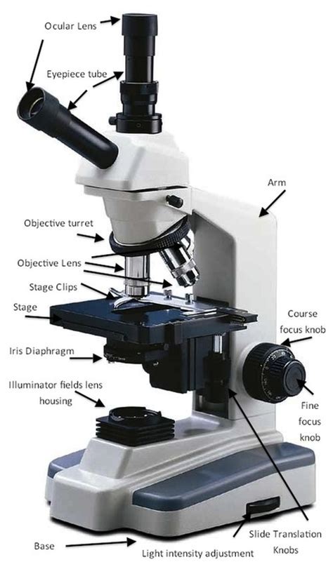 Image result for Video Microscope Play