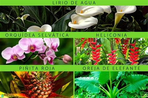 Image result for Selenium Automation Testing Examples