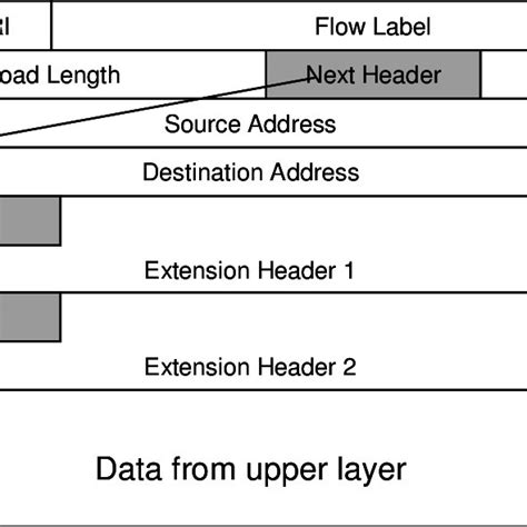 IPv6 Extension Header 的图像结果