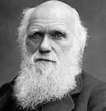 Key Notes on the Living World - NEET PDF Download