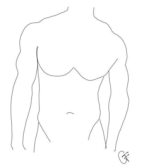 Image result for Draw Abs for Beginners